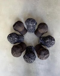 Formy Hard Times Animalier Baseball Cap