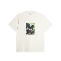 Polar Tee Cat