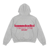 Hoodie Comfy Team012 Ash Grey