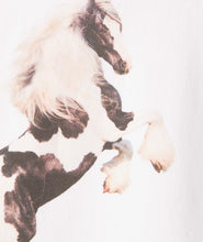 Carica l&#39;immagine nel visualizzatore di Gallery, Danilo Paura Horse Hooded Sweatshirt White
